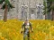 Spil Axe Of The Ancients Dwarven Fury online