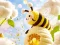 Spil Find The Differences: Little Bee's Adventure online