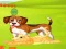 Spil Bunny Key Quest online
