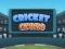 Spil Cricket Craze online