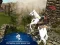 Spil Ertugrul Gazi Horse Sim online