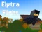 Spil Elytra Flight online