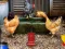 Spil Poultry Farm Easter Escape online