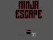 Spil Ninja escape online