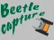 Spil Beetle Capture online