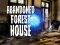 Spil Abandoned Forest House online