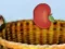 Spil Harvesting online