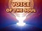 Spil Voice Of The Soul online