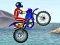 Spil FMX team online