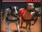 Spil Greyhound Racing online