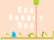 Spil Run Rabbit Run online