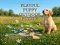 Spil Playful Puppy Outdoor Puzzle online