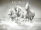 Spil Horses Puzzle online
