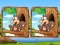 Spil Jungle 5 Diffs online