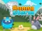 Spil Bunny Storm online