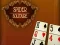 Spil Spider Solitaire online
