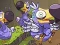 Spil Save The Dodos online