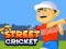 Spil Street Cricket online