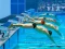Spil Swimming Pool Race online