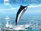 Spil Azure Sea Fishing online