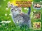Spil Kittens Jigsaw online