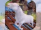 Spil Angry Goat Wild Animal Rampage online