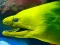 Spil Underwater World Jigsaw online