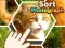 Spil Sort Photograph online