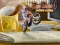 Spil Bike Mania 4 Micro Office online