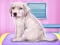 Spil Labrador at the doctor salon online