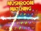 Spil Mushroom matching online
