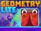 Spil Geometry Lite online