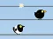 Spil Gone with the Birds online