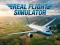 Spil Real Flight Simulator online