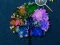 Spil Hidden Stars online