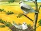 Spil Birds Of Prey Puzzle online