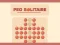 Spil Peg Solitaire online