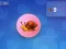 Spil Snail Clicker online