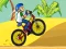Spil BMX Boy Online online