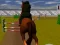 Spil Jumping Horse 3d online