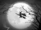 Spil The Night Of the Witches Jigsaw online