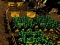 Spil Pixel Farm online