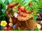 Spil Hidden Objects Insects online