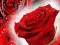 Spil Red Roses online