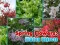 Spil Spring Flowers: Hidden Objects online