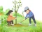 Spil Arbor Day Puzzle online