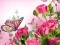 Spil Butterflies Puzzle online