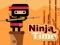 Spil Ninja Time online
