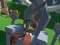 Spil Lazy Orcs: Arena online