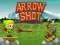 Spil Arrow Shoot online